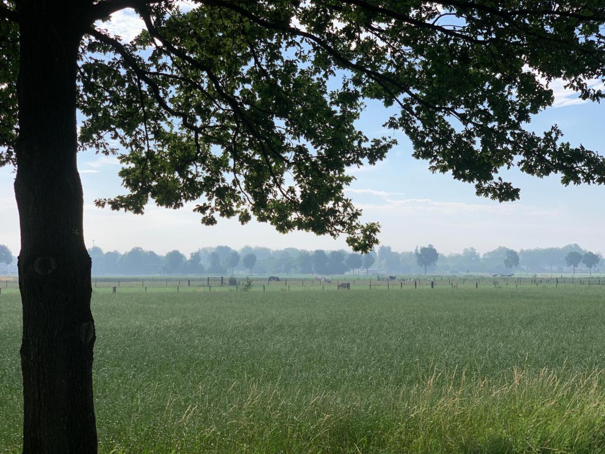 Het Gouden Hert Montfort Bagian luar foto